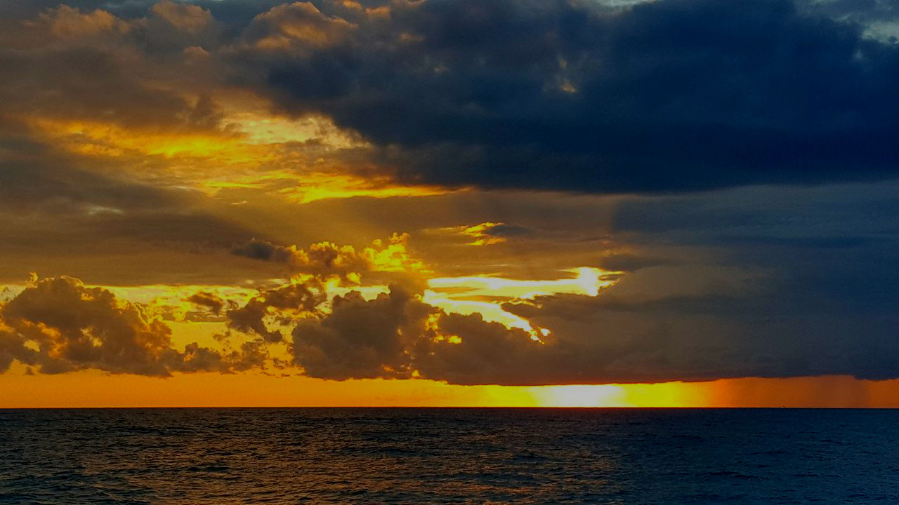 Курилка- разговоры на любые темы - Бодибилдинг форум AnabolicShops