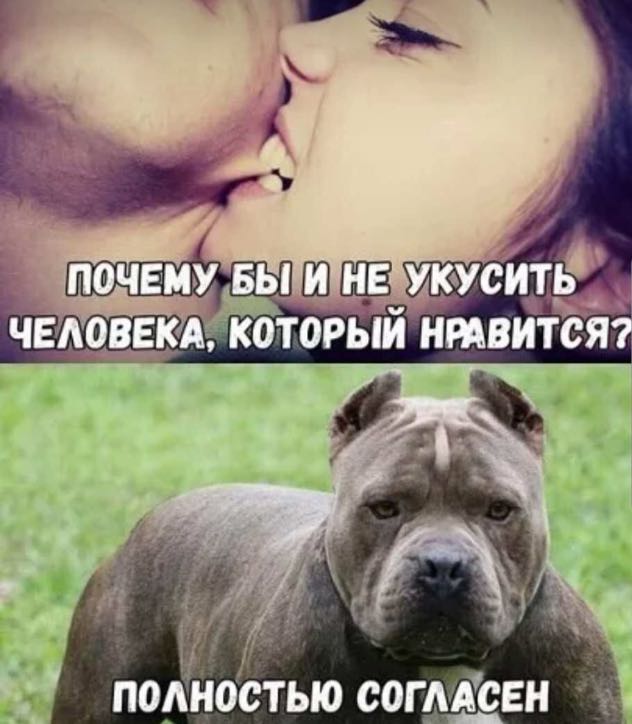 Курилка- разговоры на любые темы - Бодибилдинг форум AnabolicShops