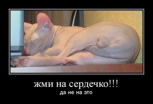 Приколюшные картинки - Бодибилдинг форум AnabolicShops