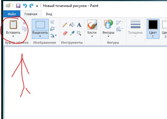 Nakachen.biz - сайт низких цен ! - Бодибилдинг форум AnabolicShops