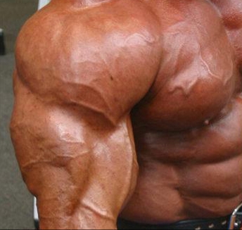 StoreGenerics.ru-Дженерики-все для ПКТ - Бодибилдинг форум AnabolicShops