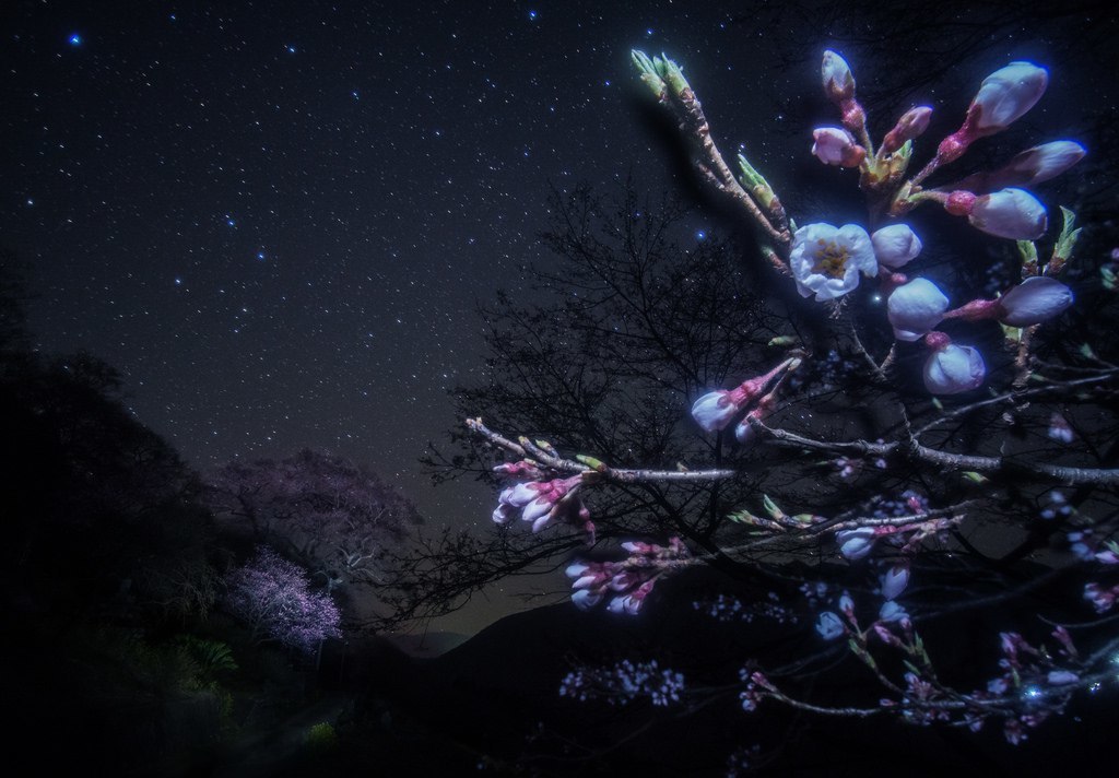 Natusik - Меркантильная суЧность или Сильная Красотка - Бодибилдинг форум AnabolicShops