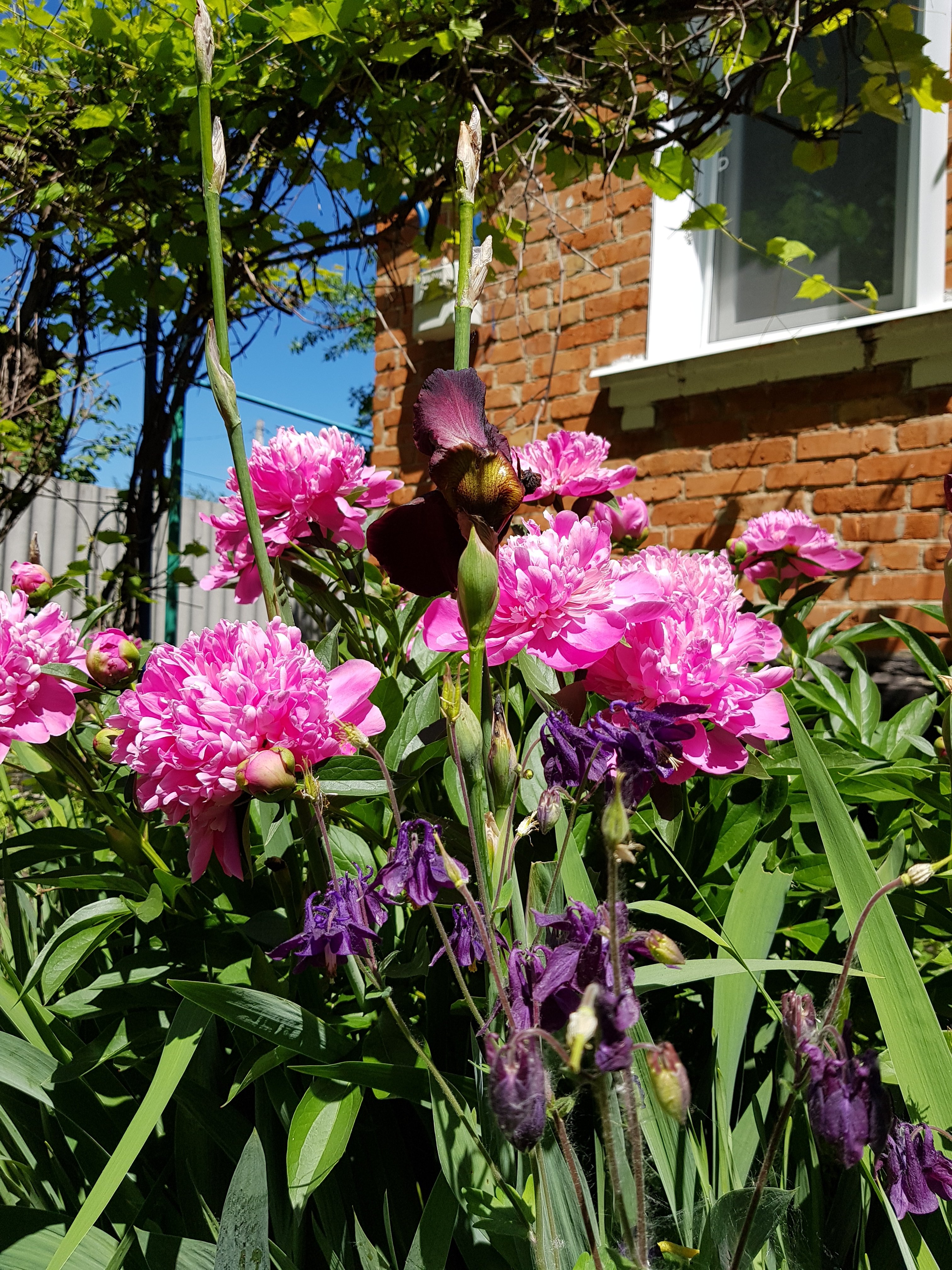 Zaia_Zolotaia - Wellness Lady - Бодибилдинг форум AnabolicShops