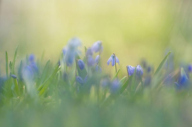 Natusik - Меркантильная суЧность или Сильная Красотка - Бодибилдинг форум AnabolicShops