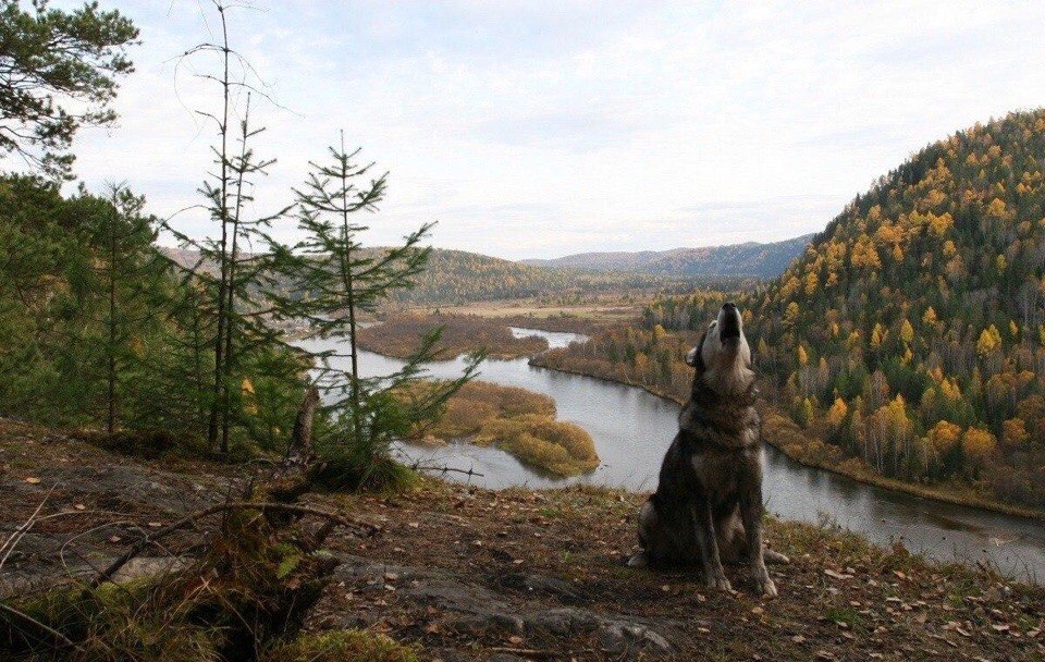 Natusik - Меркантильная суЧность или Сильная Красотка - Бодибилдинг форум AnabolicShops