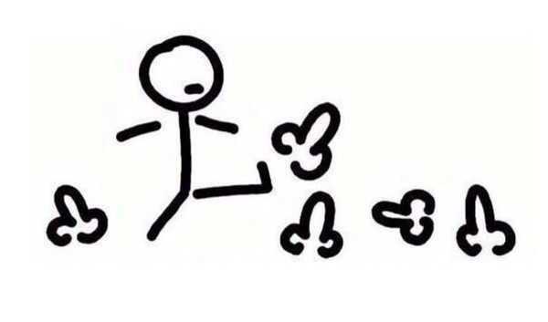 Zaia_Zolotaia - Wellness Lady - Бодибилдинг форум AnabolicShops