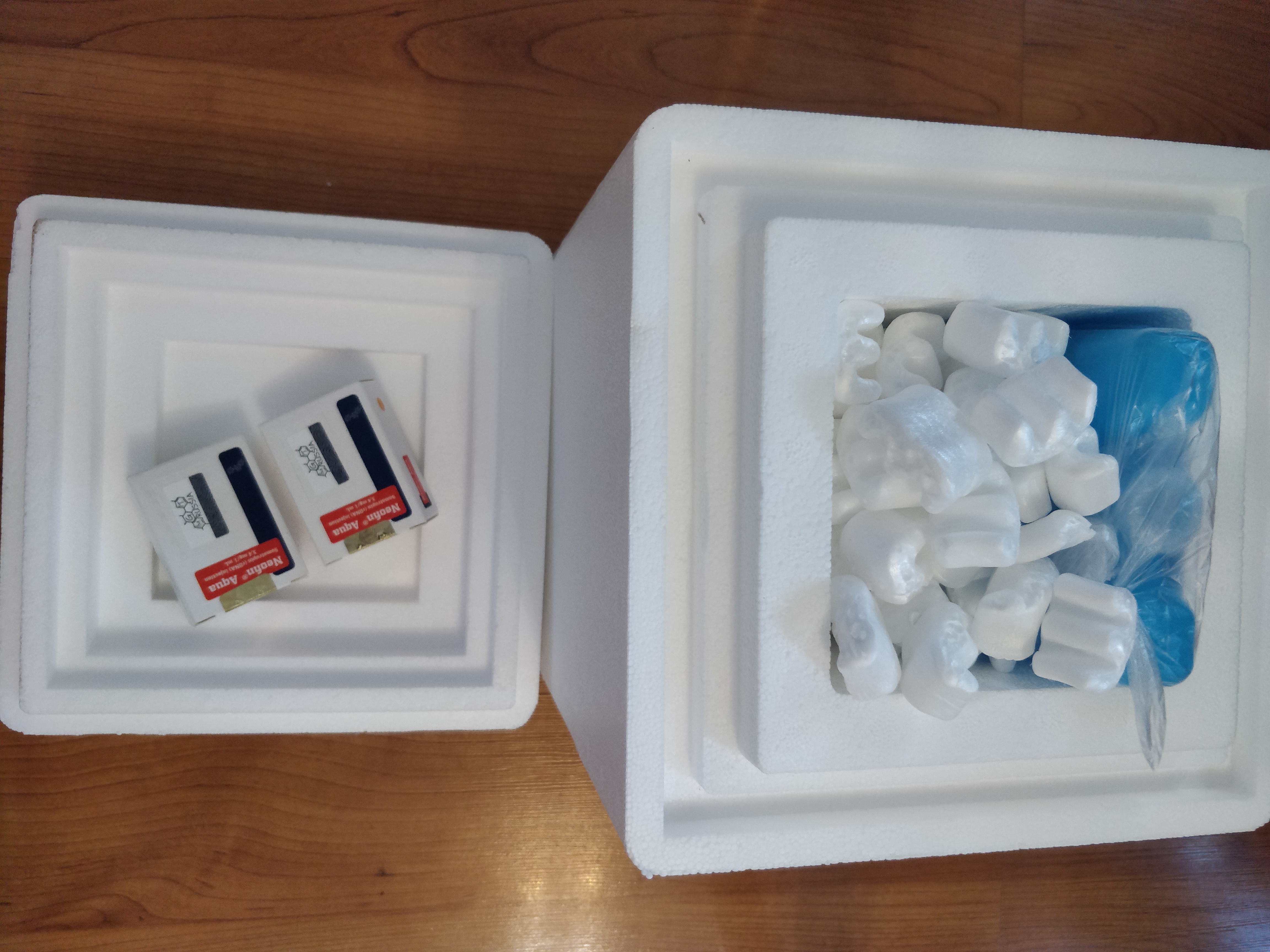 MGT | Гормон Роста | Продукты генной инженерии - Бодибилдинг форум AnabolicShops