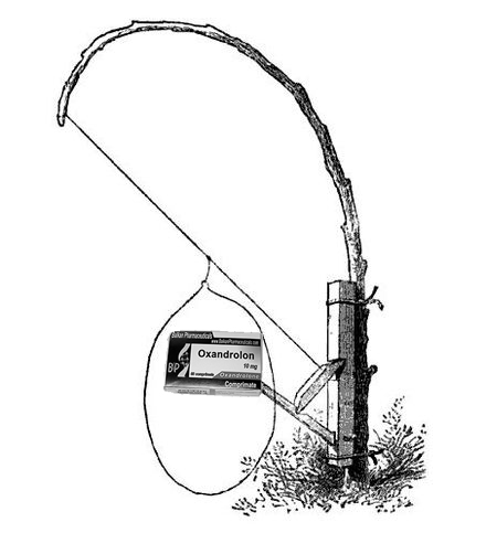 Фотоотчеты МСК - Бодибилдинг форум AnabolicShops