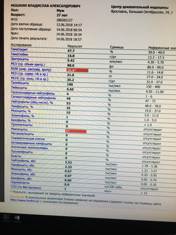 Мост. Неделя 3. - Бодибилдинг форум AnabolicShops