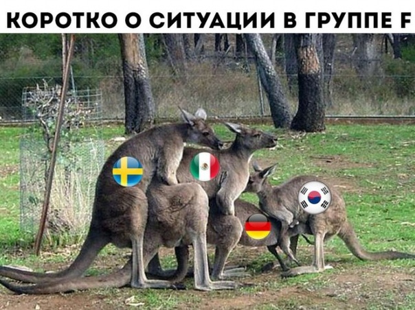 Анекдоты обо всем - Бодибилдинг форум AnabolicShops