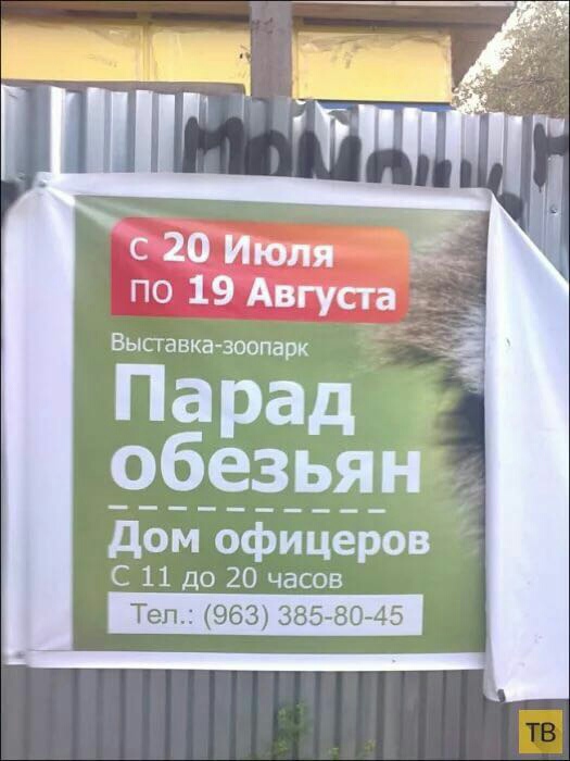 Анекдоты обо всем - Бодибилдинг форум AnabolicShops