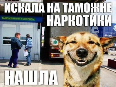 Анекдоты обо всем - Бодибилдинг форум AnabolicShops