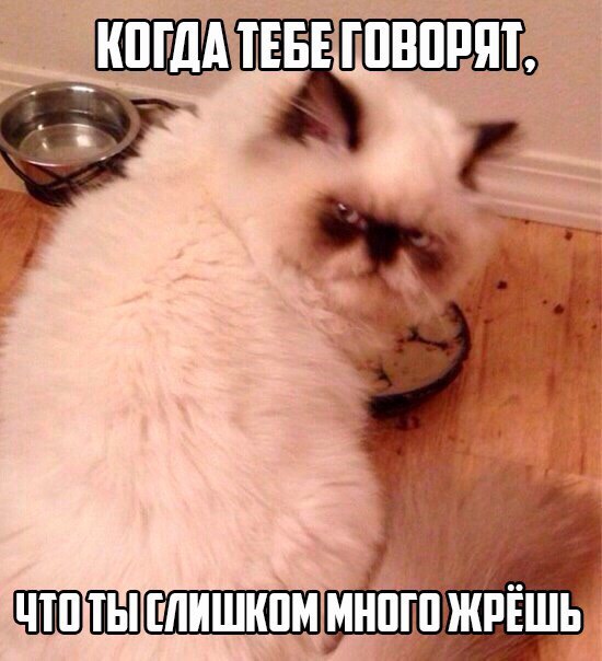 Курилка- разговоры на любые темы - Бодибилдинг форум AnabolicShops