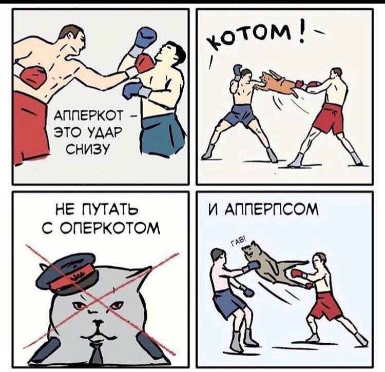 Анекдоты обо всем - Бодибилдинг форум AnabolicShops