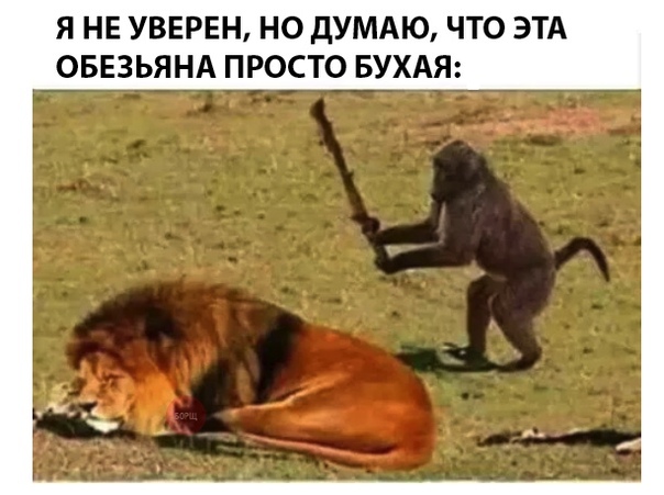 Курилка- разговоры на любые темы - Бодибилдинг форум AnabolicShops