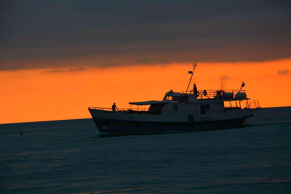 Курилка- разговоры на любые темы - Бодибилдинг форум AnabolicShops