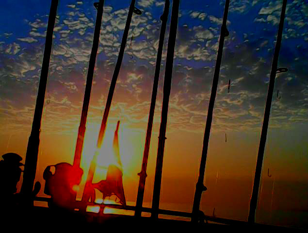 Курилка- разговоры на любые темы - Бодибилдинг форум AnabolicShops