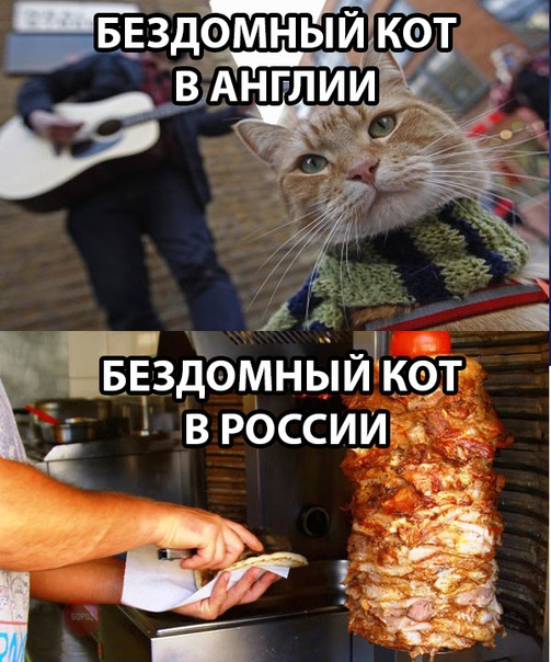 Курилка- разговоры на любые темы - Бодибилдинг форум AnabolicShops