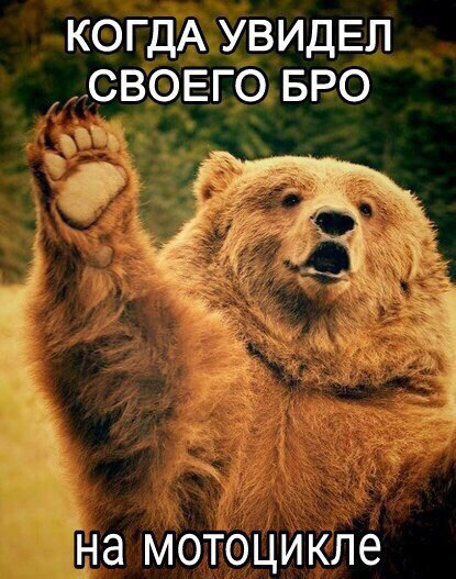 Курилка- разговоры на любые темы - Бодибилдинг форум AnabolicShops