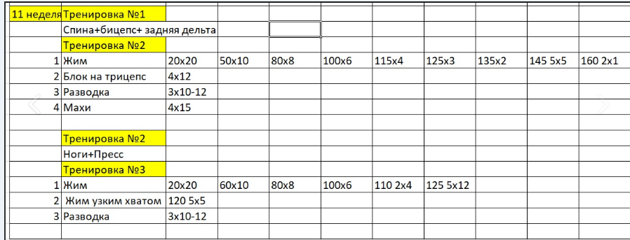 alex1601. Тренировки под руководством Kain. - Бодибилдинг форум AnabolicShops