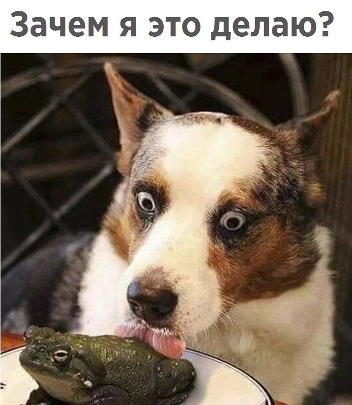 Курилка- разговоры на любые темы - Бодибилдинг форум AnabolicShops