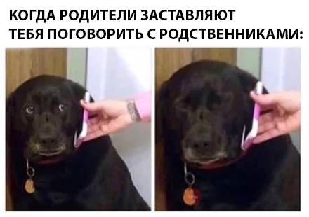 Приколюшные картинки - Бодибилдинг форум AnabolicShops