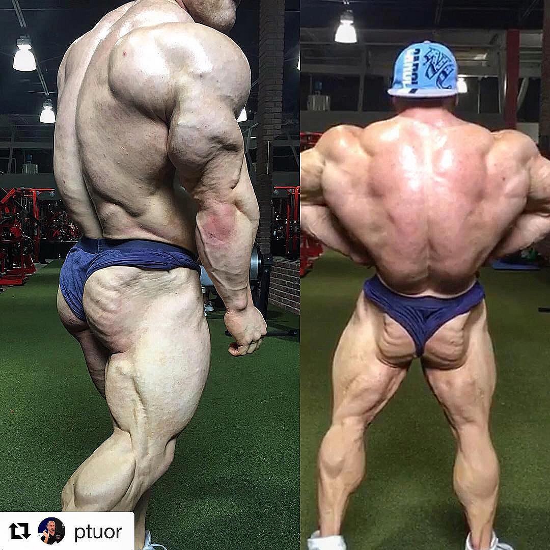 Николя Вюлью готов, а Серджио Олива нет к Масл Водка Тампа Про 2018? - Бодибилдинг форум AnabolicShops