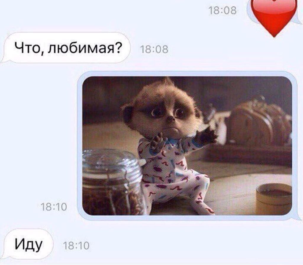 Курилка- разговоры на любые темы - Бодибилдинг форум AnabolicShops