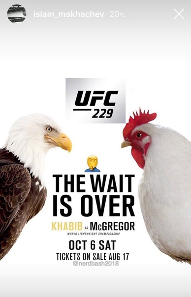 Конор Макгрегор или Хабиб Нурмагомедов ? Долгожданная встреча. - Бодибилдинг форум AnabolicShops