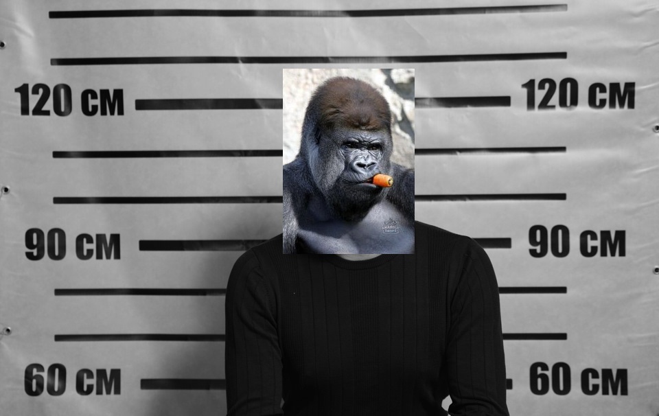 Фотоотчеты МСК - Бодибилдинг форум AnabolicShops