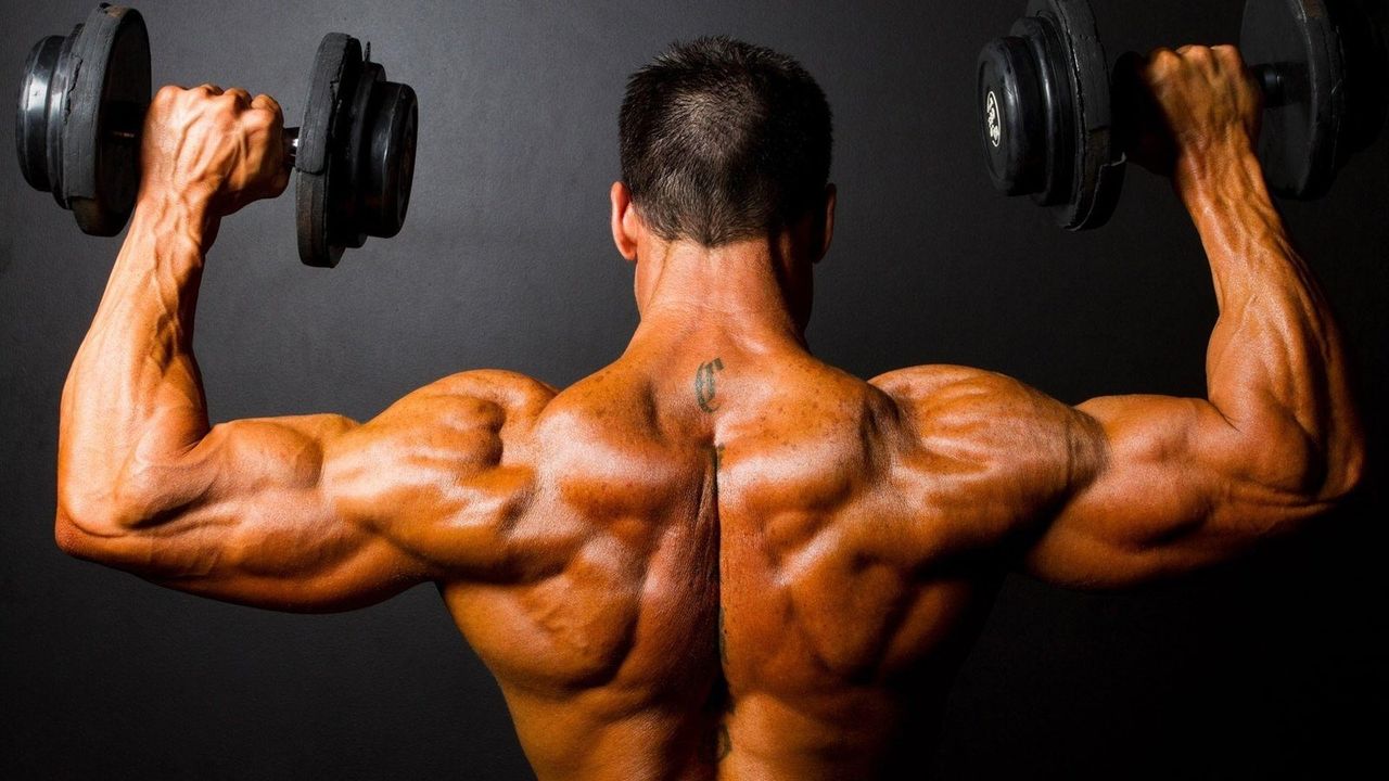 Альфа- глицерилфосфорилхолин - Бодибилдинг форум AnabolicShops