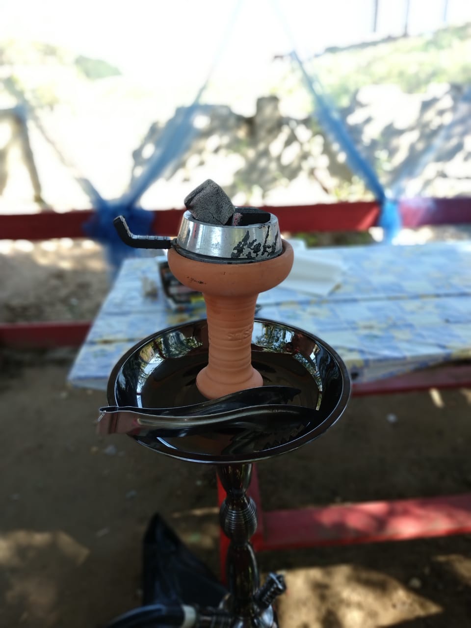 Фотоотчеты МСК - Бодибилдинг форум AnabolicShops