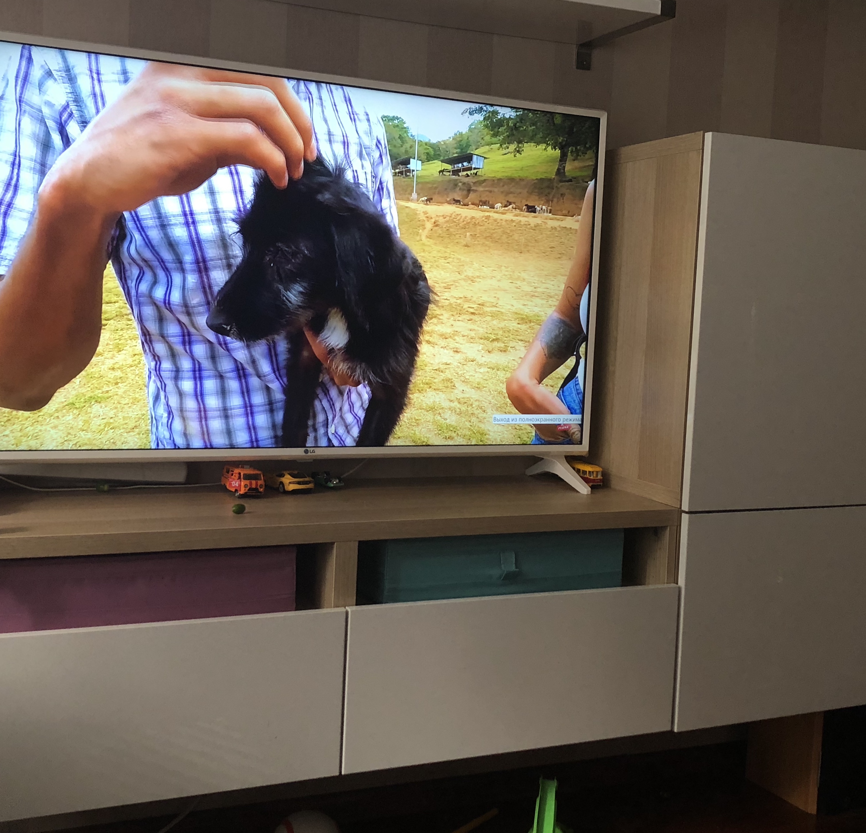 Сено, дорога к кругосветке! - Бодибилдинг форум AnabolicShops