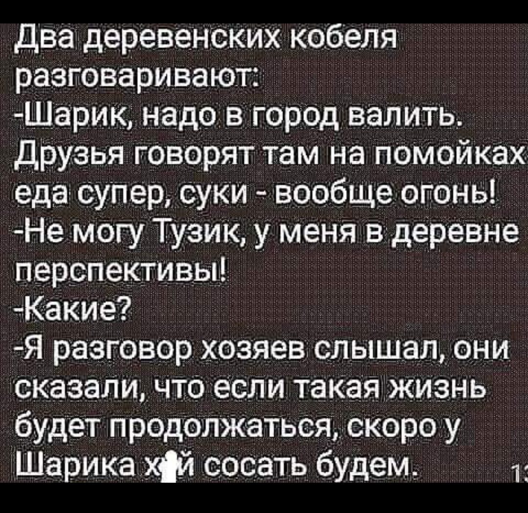 Анекдоты обо всем - Бодибилдинг форум AnabolicShops