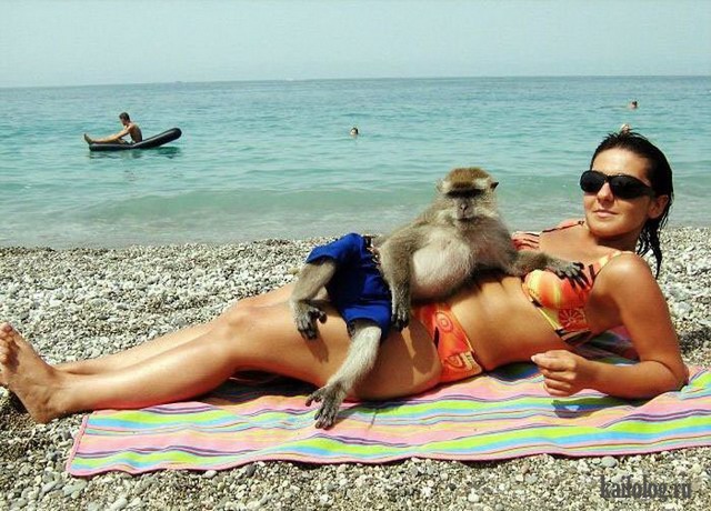 Конкурс пикчур "Качки на пляже" / Призовой фонд 100 000 руб/ by Danabol.store - Бодибилдинг форум AnabolicShops