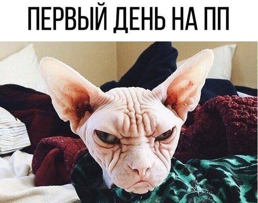 Zaia_Zolotaia - Wellness Lady - Бодибилдинг форум AnabolicShops