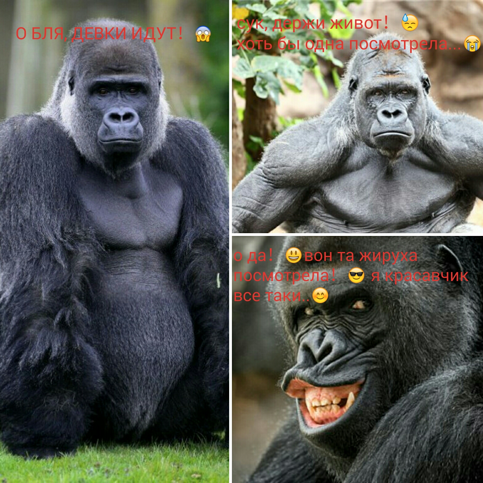 Конкурс пикчур "Качки на пляже" / Призовой фонд 100 000 руб/ by Danabol.store - Бодибилдинг форум AnabolicShops