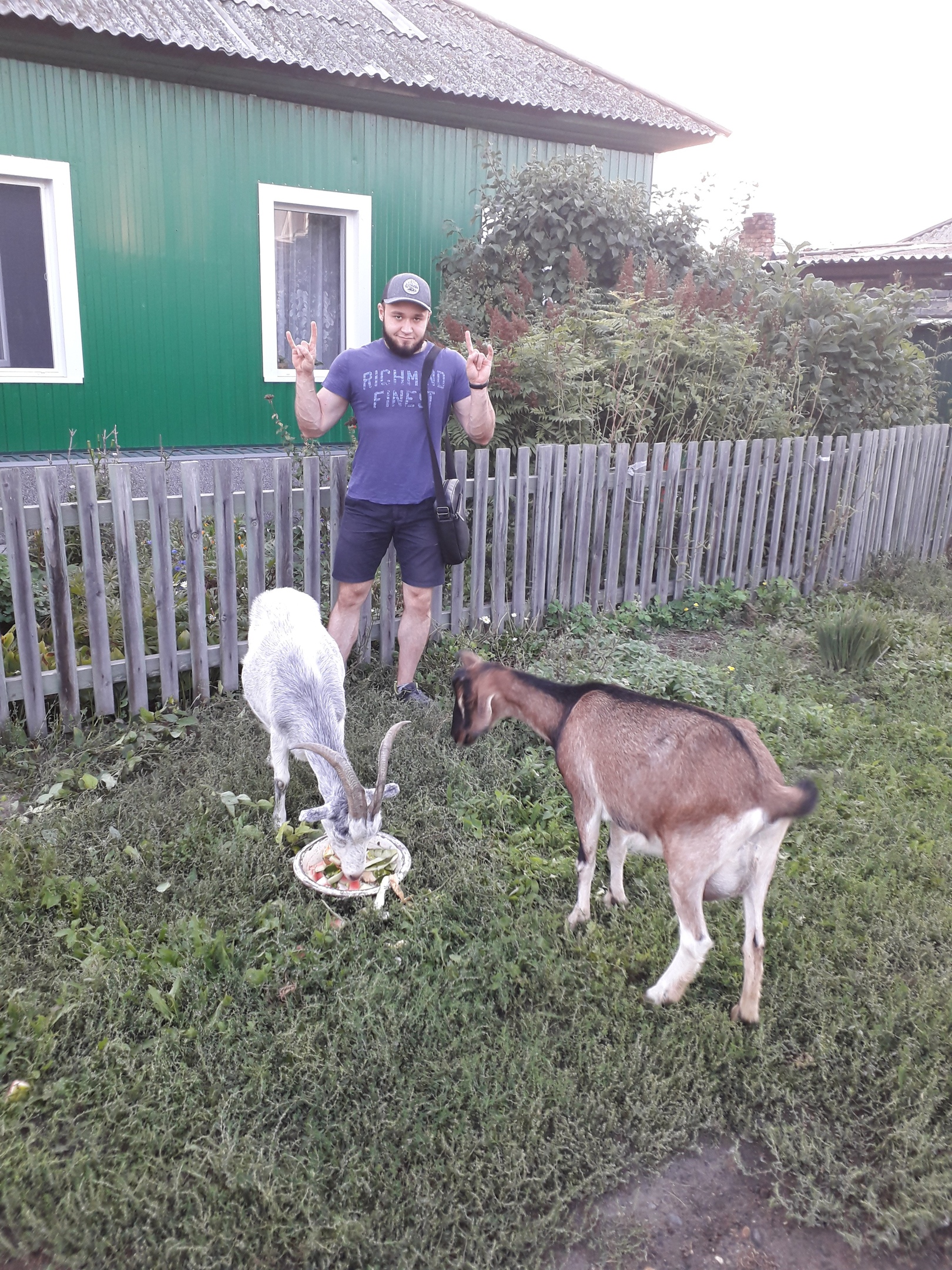 Rost-farma.org — Рф-Рф - Бодибилдинг форум AnabolicShops