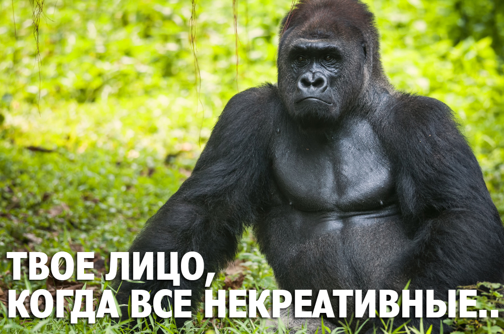 Конкурс пикчур "Качки на пляже" / Призовой фонд 100 000 руб/ by Danabol.store - Бодибилдинг форум AnabolicShops