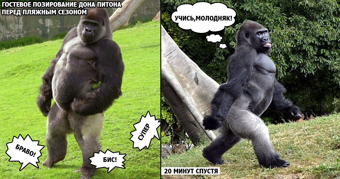 Конкурс пикчур "Качки на пляже" / Призовой фонд 100 000 руб/ by Danabol.store - Бодибилдинг форум AnabolicShops