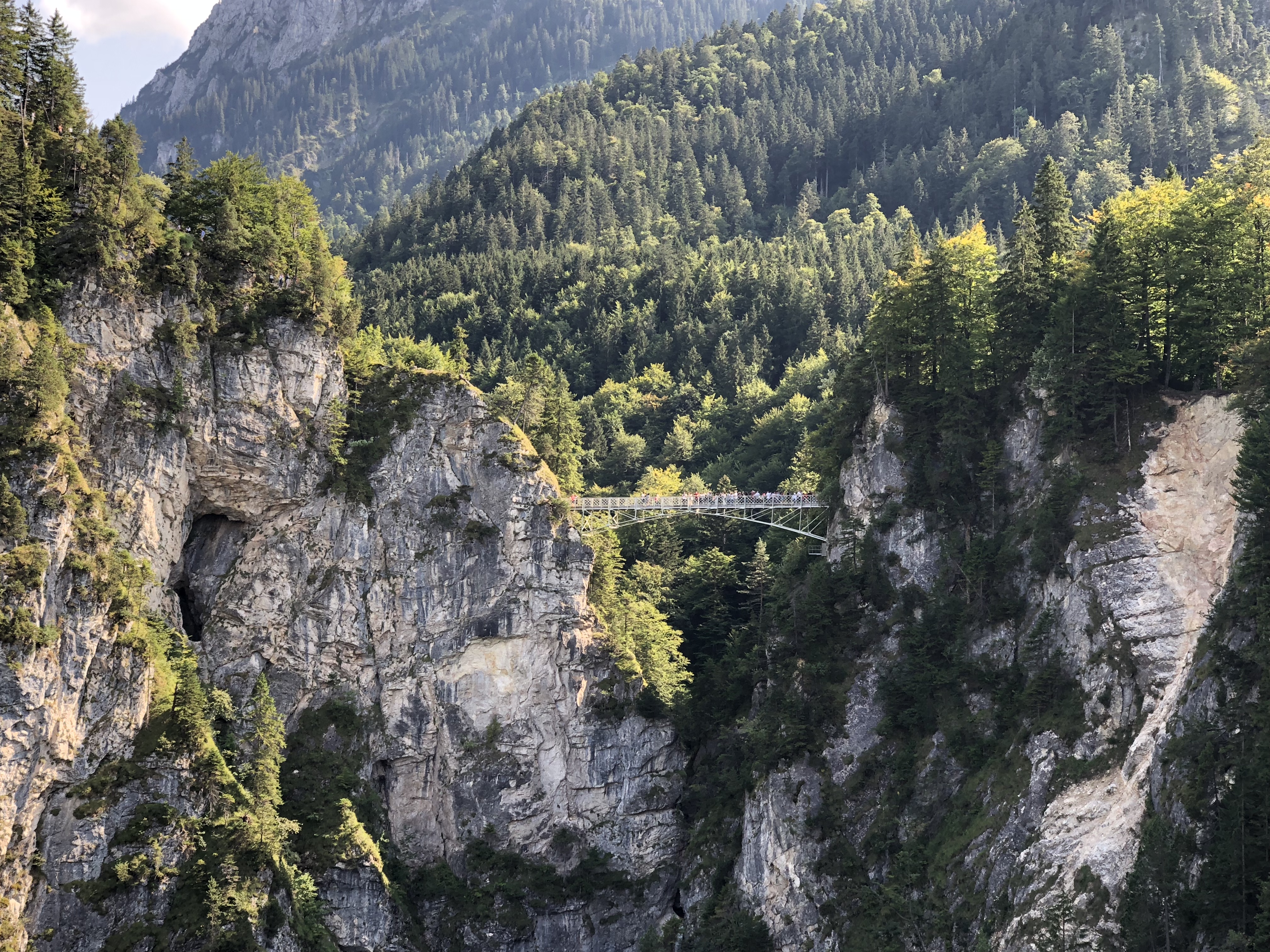 Сено, дорога к кругосветке! - Бодибилдинг форум AnabolicShops