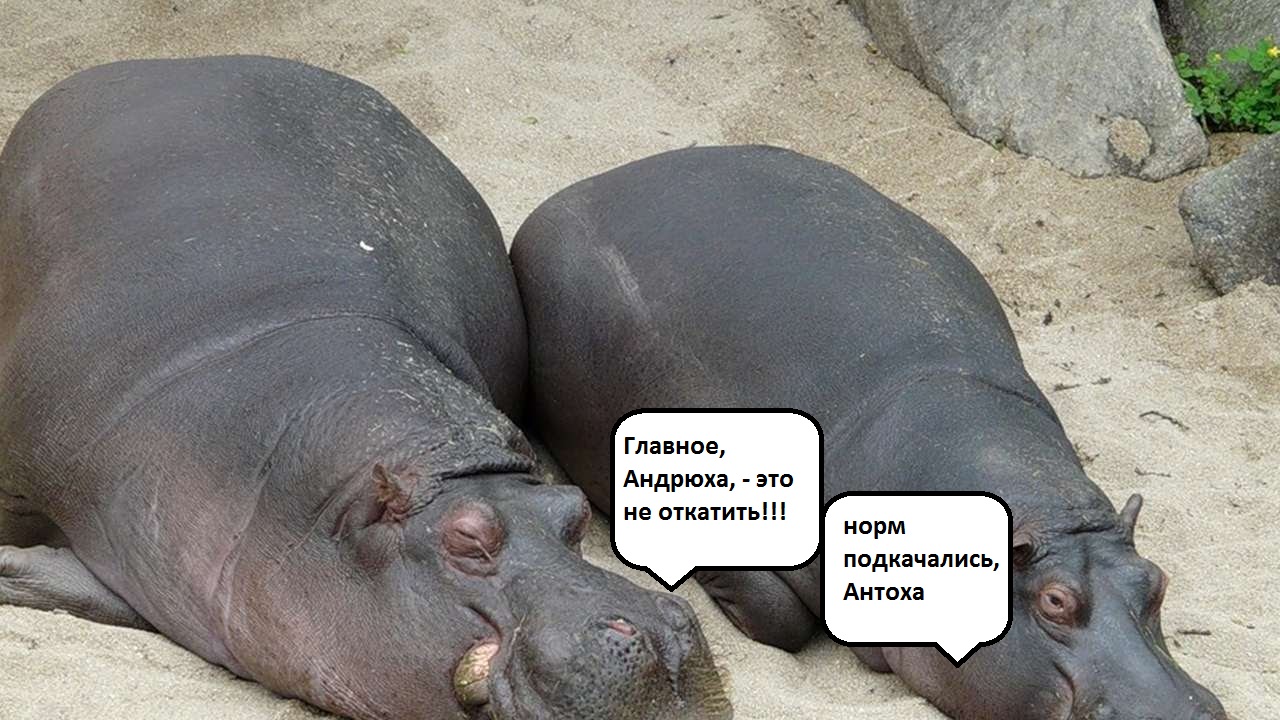 Конкурс пикчур "Качки на пляже" / Призовой фонд 100 000 руб/ by Danabol.store - Бодибилдинг форум AnabolicShops