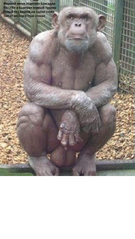 Конкурс пикчур "Качки на пляже" / Призовой фонд 100 000 руб/ by Danabol.store - Бодибилдинг форум AnabolicShops