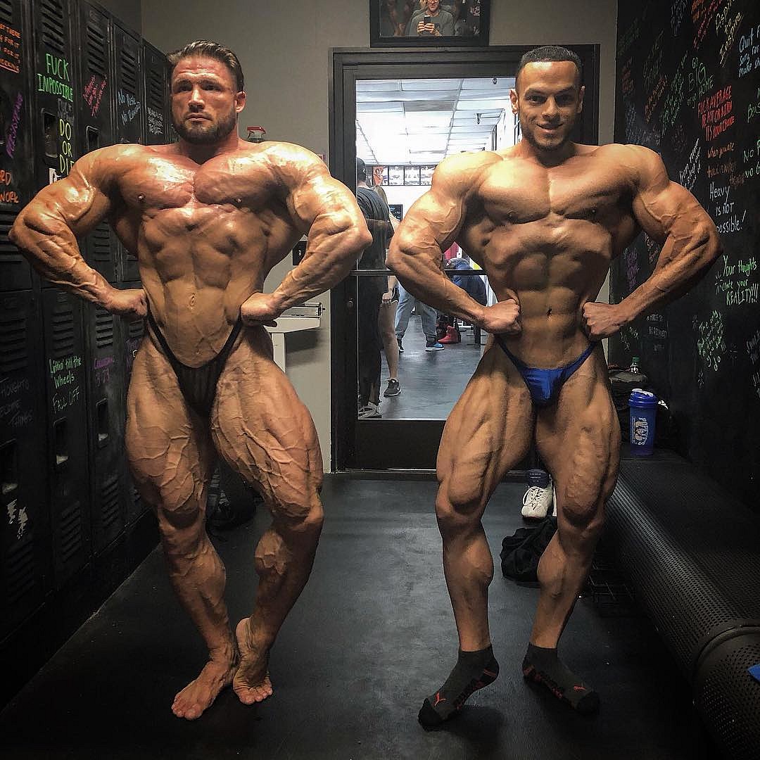 Крис Ацето ставит на Зейна Уотсона в категории 212 lb - Бодибилдинг форум AnabolicShops