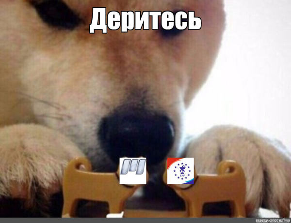 Фрэнк против Адама - Бодибилдинг форум AnabolicShops