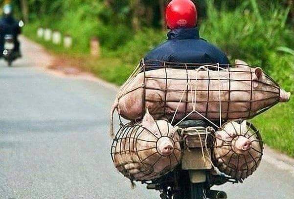 Курилка- разговоры на любые темы - Бодибилдинг форум AnabolicShops