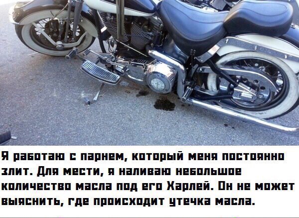 Анекдоты обо всем - Бодибилдинг форум AnabolicShops