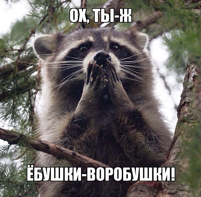 DevilsPharm.in.th - Бодибилдинг форум AnabolicShops