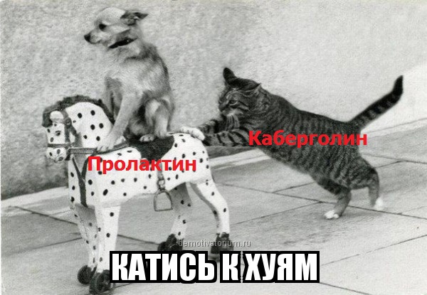 DevilsPharm.in.th - Бодибилдинг форум AnabolicShops