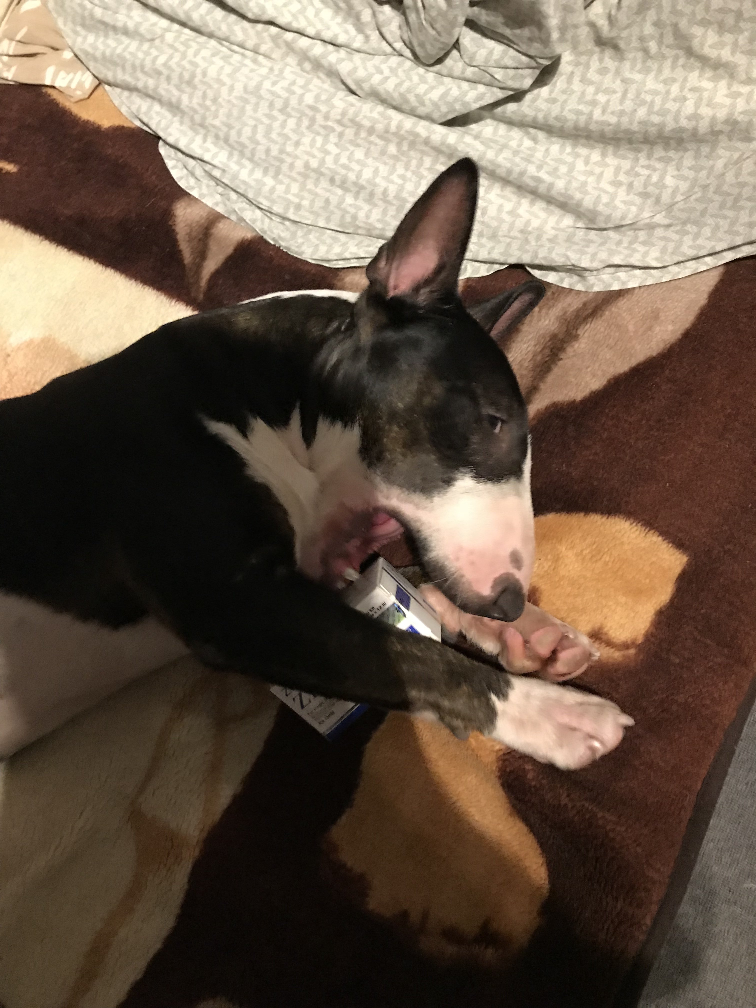 Homosteron.com оф.дилер Zphc|CanadaPeptides|Ergo Mrc - Бодибилдинг форум AnabolicShops